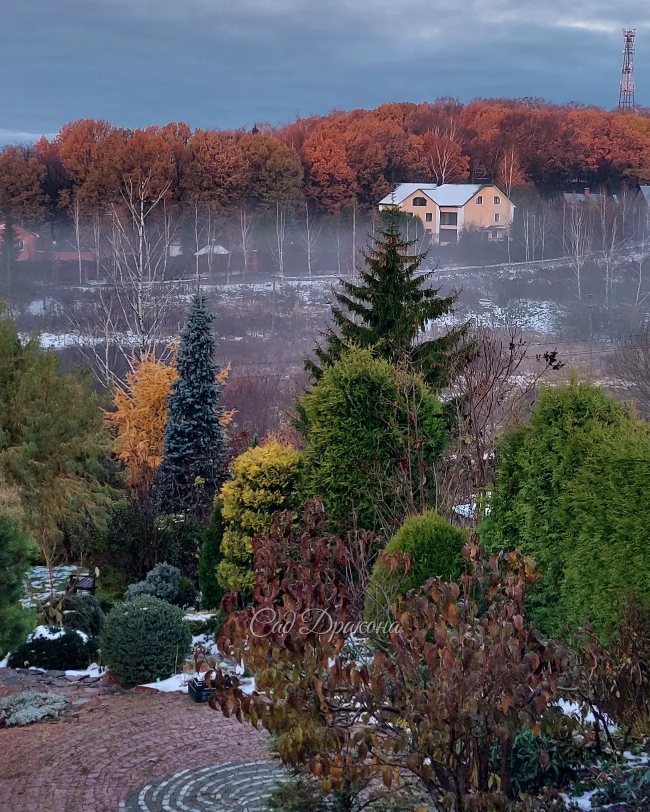 Сегодняшнее утро, день и вечер ☀️🍂✨️