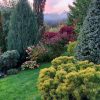 Небо прояснилось, краски заиграли 🍁🌸🌾