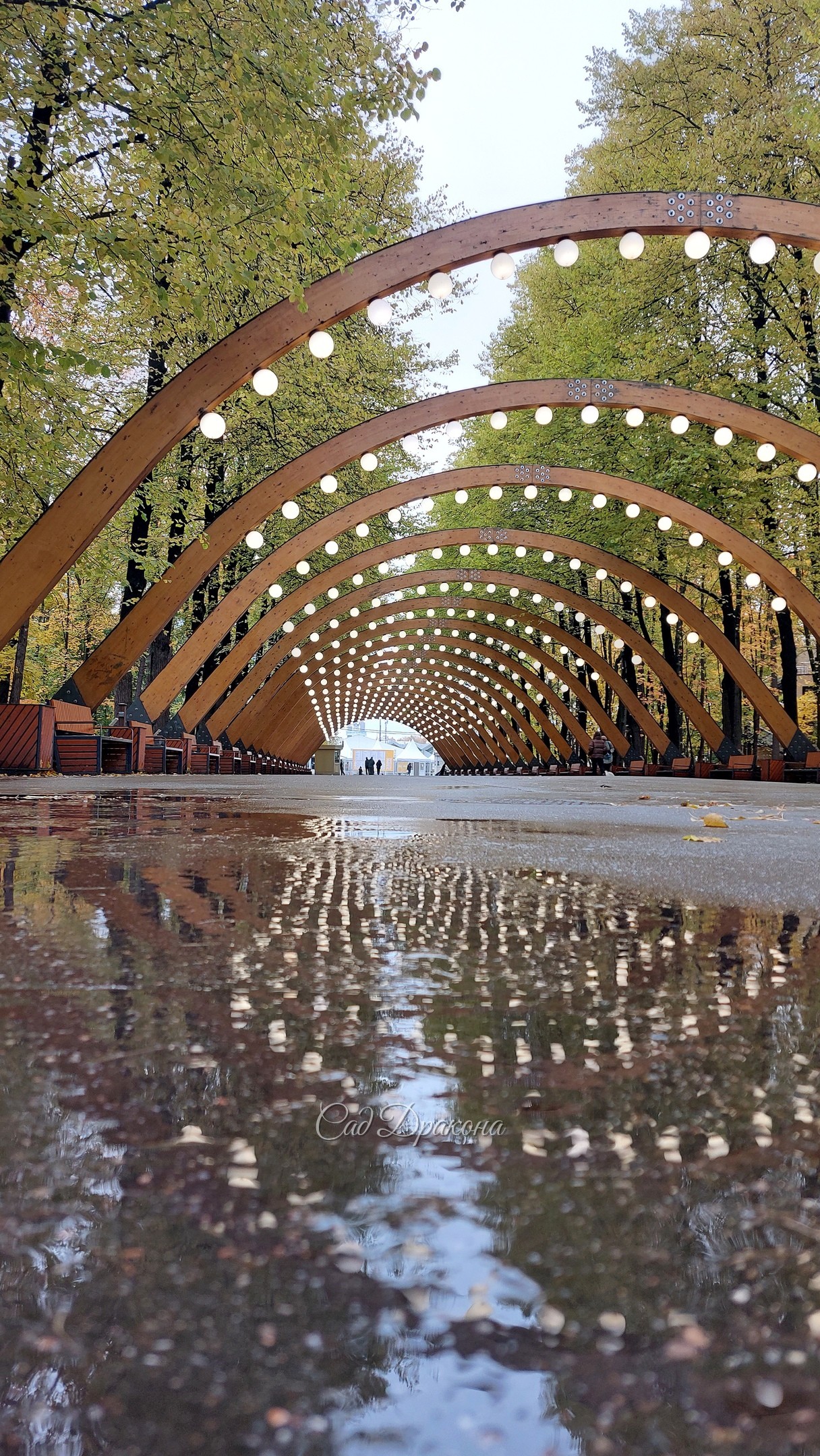 Просеки и поляны Сокольников в минувшие выходные 🍁🍂🌾