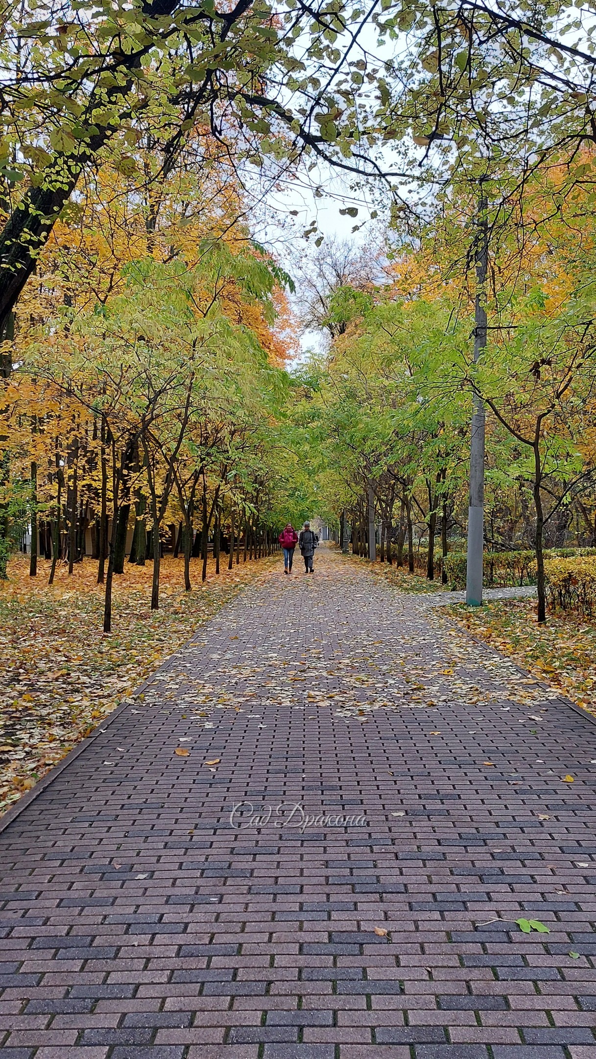 Просеки и поляны Сокольников в минувшие выходные 🍁🍂🌾