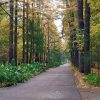 Просеки и поляны Сокольников в минувшие выходные 🍁🍂🌾