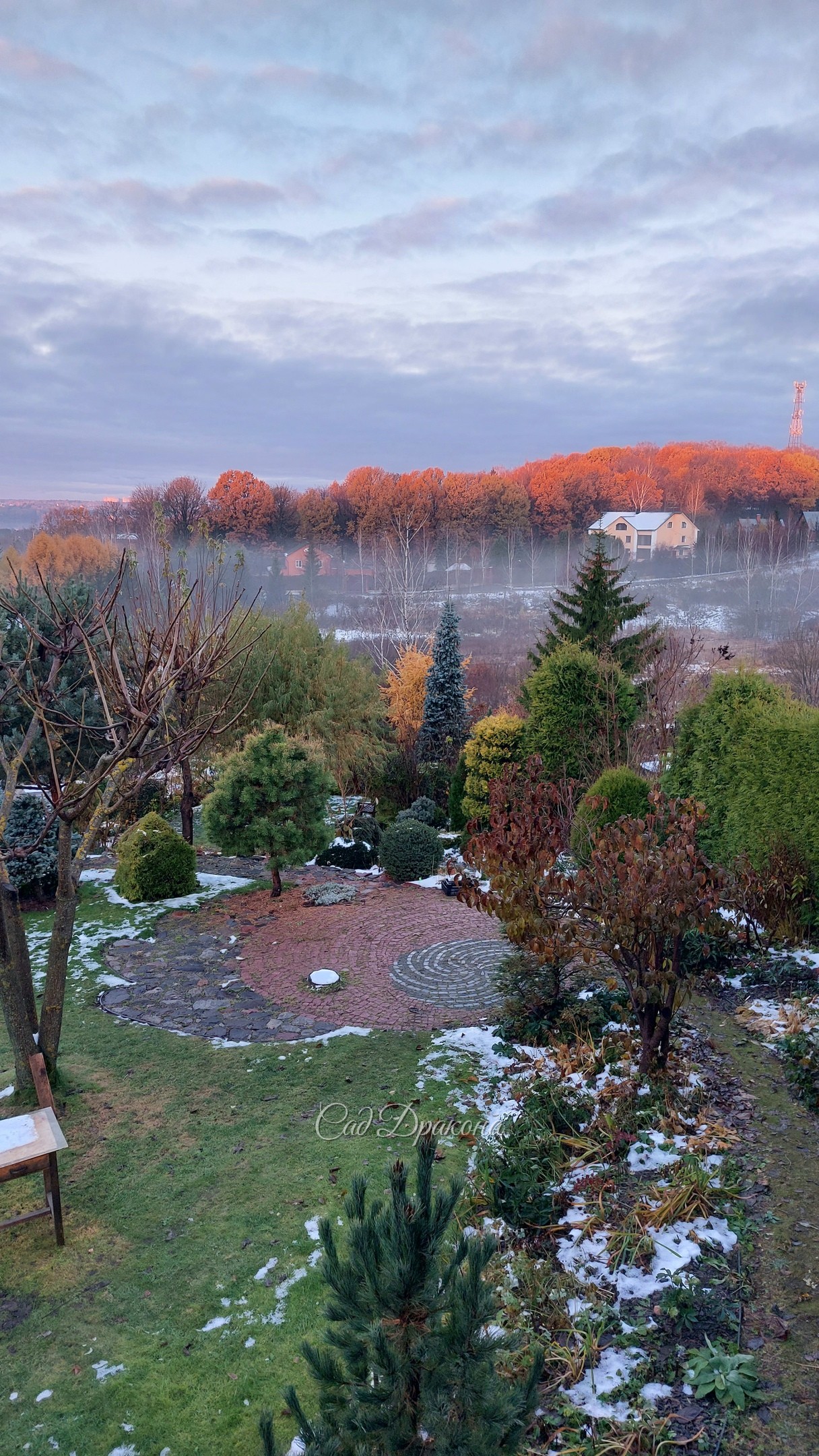 Доброе утро! Солнце осветило дубовую рощу на соседнем холме ☀️🍂🍂🍂