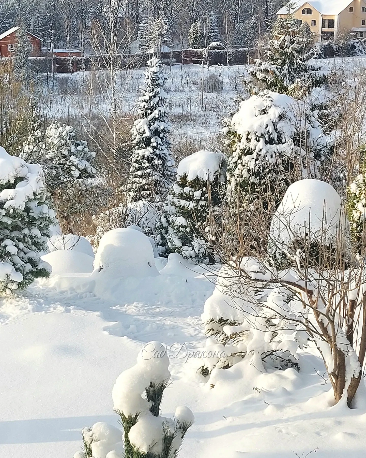 Зима взялась за дело всерьёз - снега по ушки (котикам) ❄️🐈 А нам местами по-колено ) Теперь надвигается мороз, сегодня утром -10°, а скоро будет -20°!