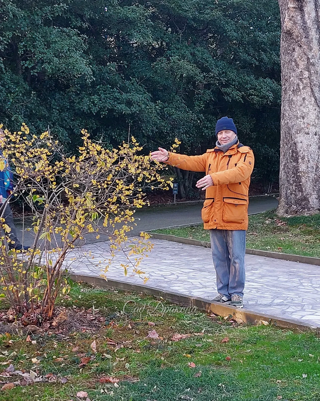 С Новым годом, друзья! Пусть он будет мирным и принесёт только хорошие вести! Счастья вам и вашим семьям и цветения садам! 🎄✨️🌷
