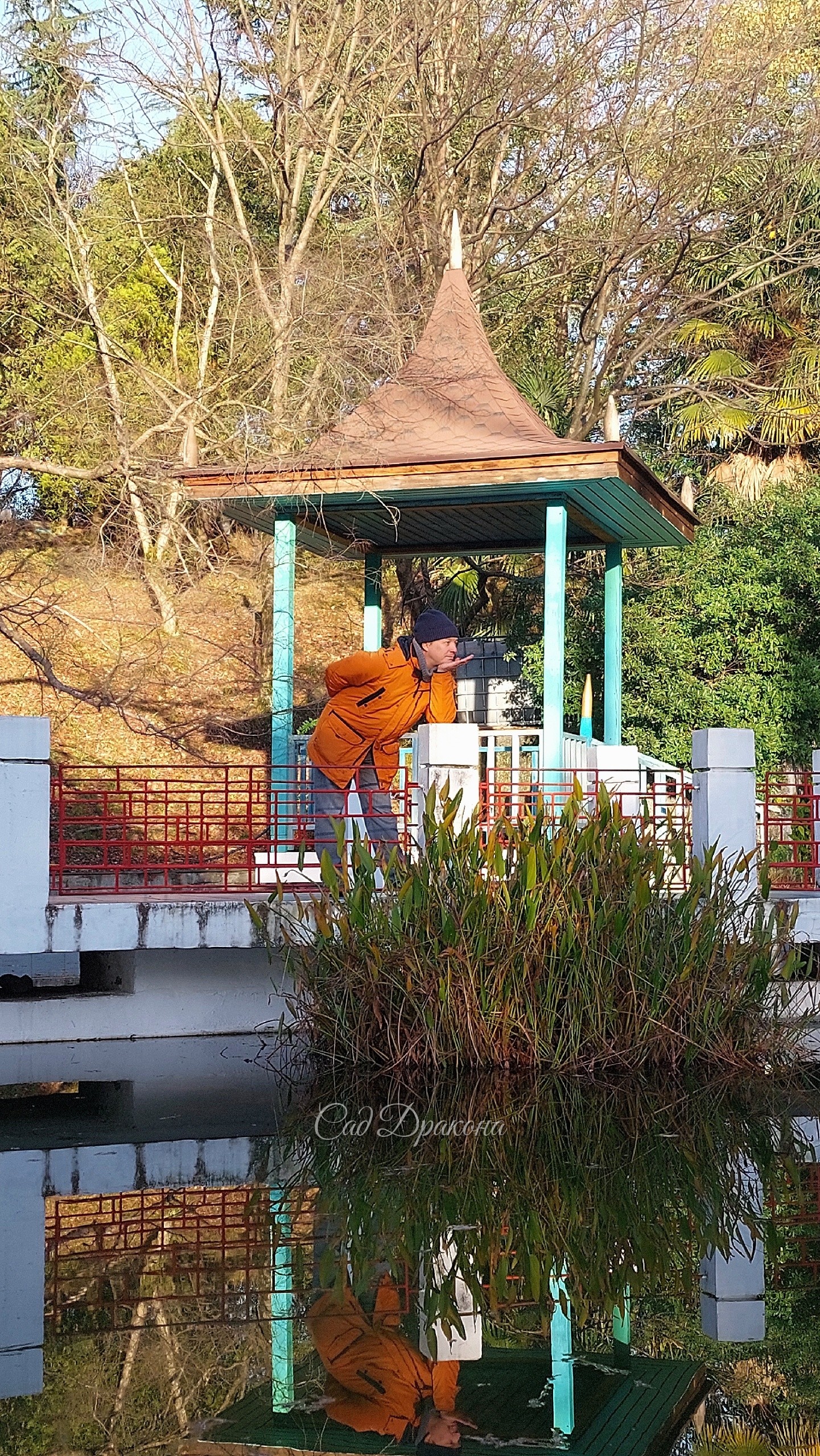 Красивые уголки Сочинского дендрария - японский и китайский дворики, ⛩️ подвесной мост, поросший мхом 🍃 Греческая беседка и вилла "Надежда", построенные основателем и хозяином поместья С. Н. Худековым, старинные и современные скульптуры и фонтаны. Всё окр
