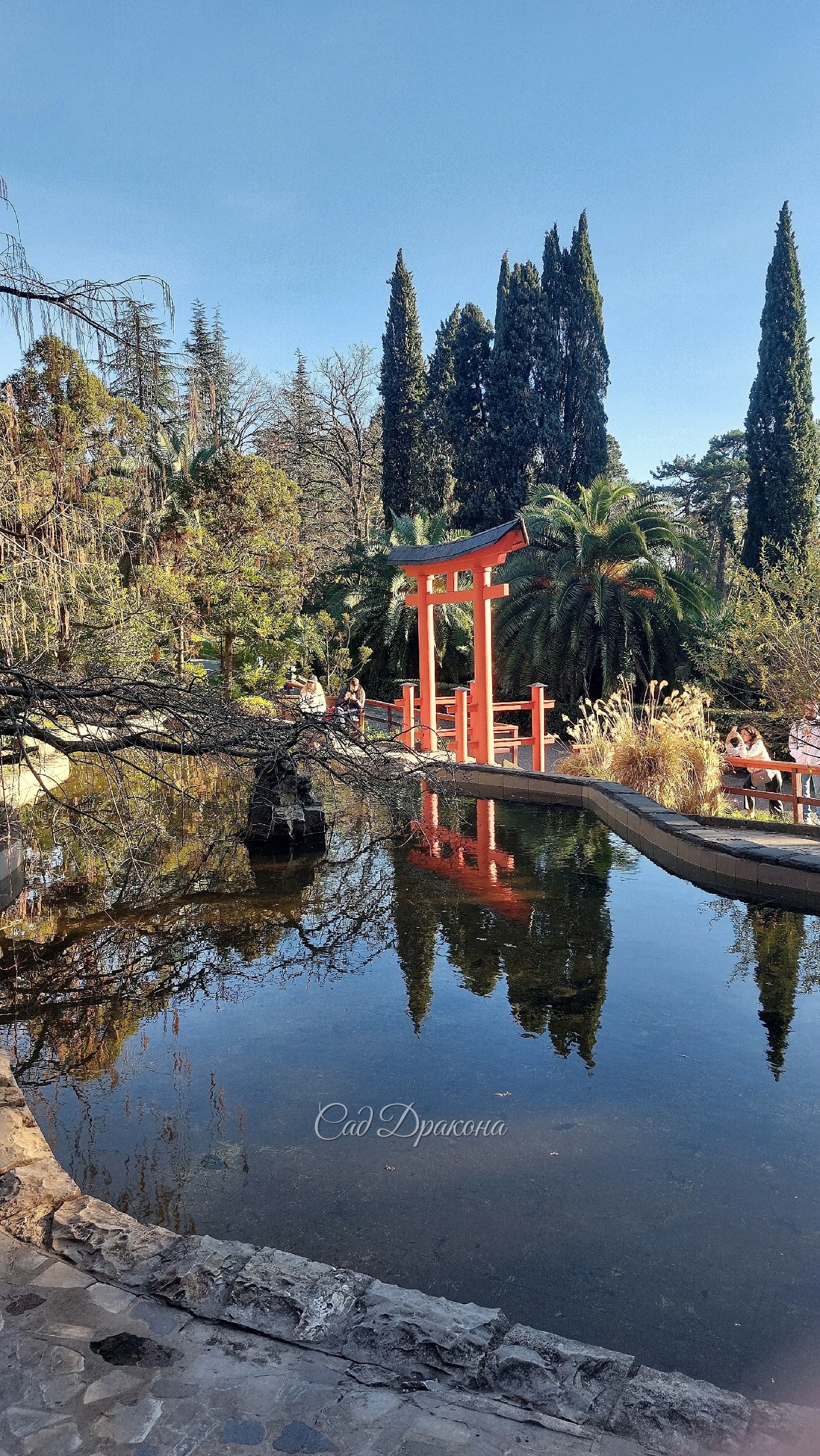 Красивые уголки Сочинского дендрария - японский и китайский дворики, ⛩️ подвесной мост, поросший мхом 🍃 Греческая беседка и вилла "Надежда", построенные основателем и хозяином поместья С. Н. Худековым, старинные и современные скульптуры и фонтаны. Всё окр