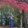 🍁 Два новых вида клёна встретились нам в поездке - с красными сейчас трёхлопастными листьями клён Кемпбелла подвид Вильсона горел пожаром в Сочинском дендрарии. Он как магнитом притягивал посетителей! 🔥