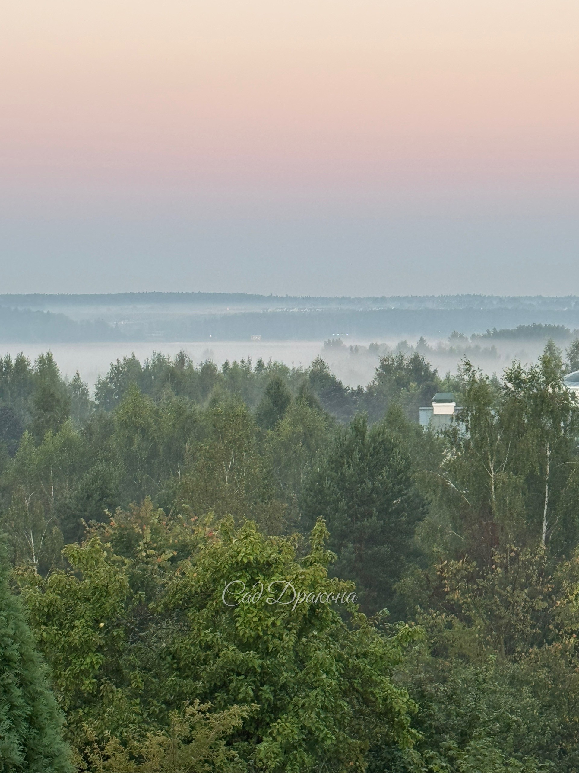 Сегодня розовый рассвет и туман 🌫️