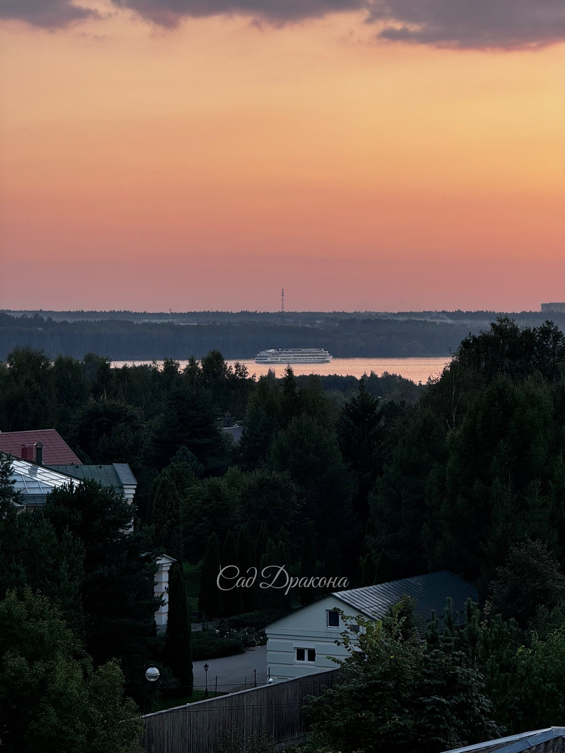 Сегодня розовый рассвет и туман 🌫️