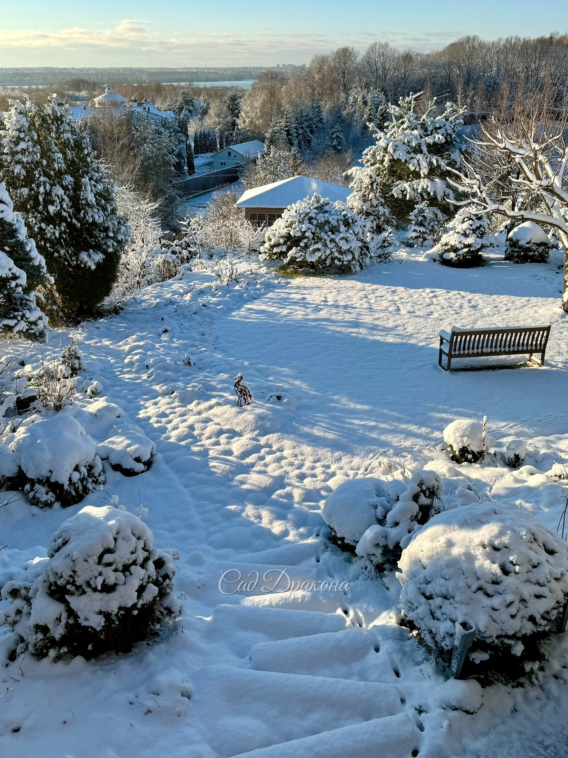 Зима! ❄️ Снег лёг, потом подтаял, радуемся, что пока не надо его часами чистить 😅