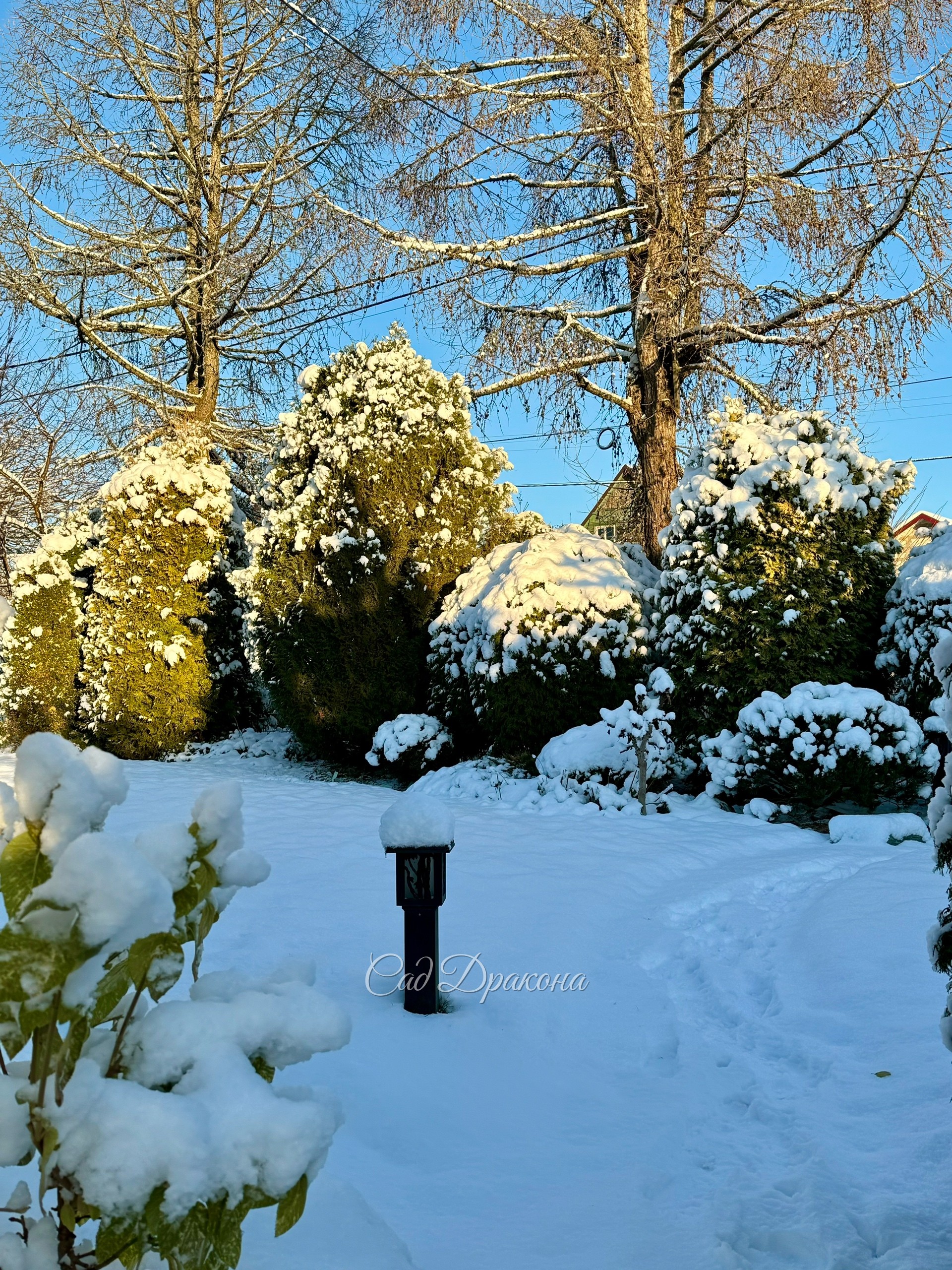Зима! ❄️ Снег лёг, потом подтаял, радуемся, что пока не надо его часами чистить 😅
