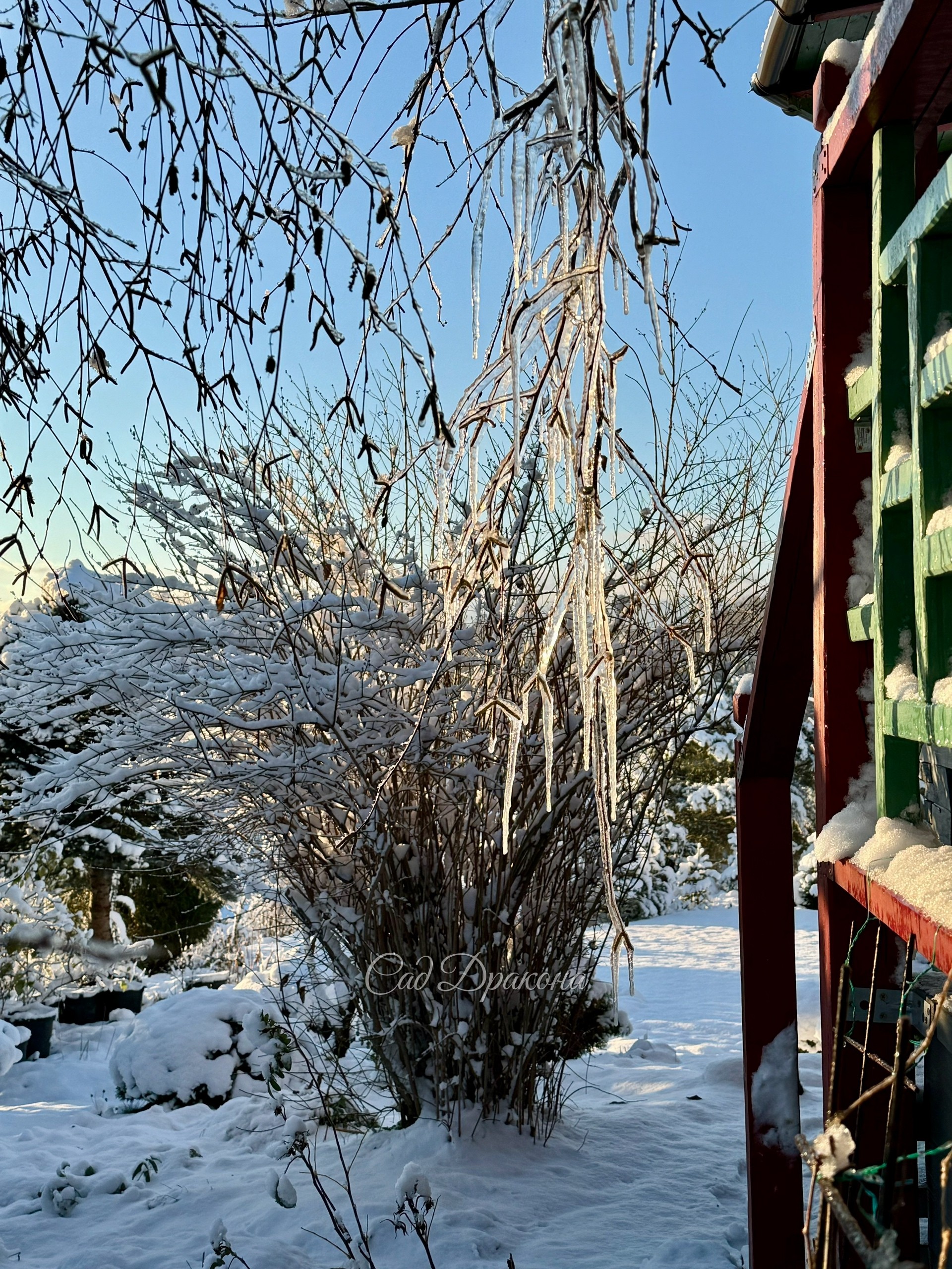 Зима! ❄️ Снег лёг, потом подтаял, радуемся, что пока не надо его часами чистить 😅