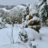 Зима взялась за дело всерьёз! Сыплет и сыплет второй день ❄️❄️❄️ И с ветерком - наметает сугробы, кое-где уже больше 30см. Всё укутано, можно зимовать ☃️