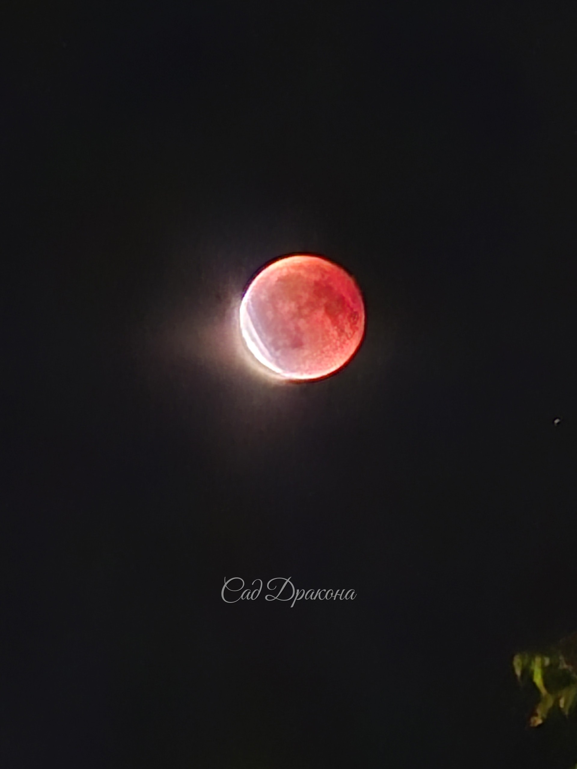 Дракон 🐉 глотает луну 🌙.