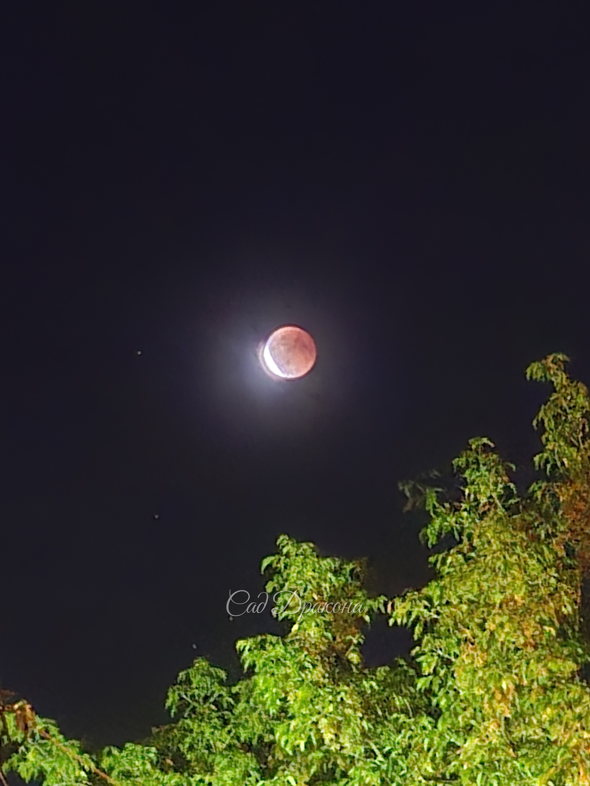 Дракон 🐉 глотает луну 🌙.