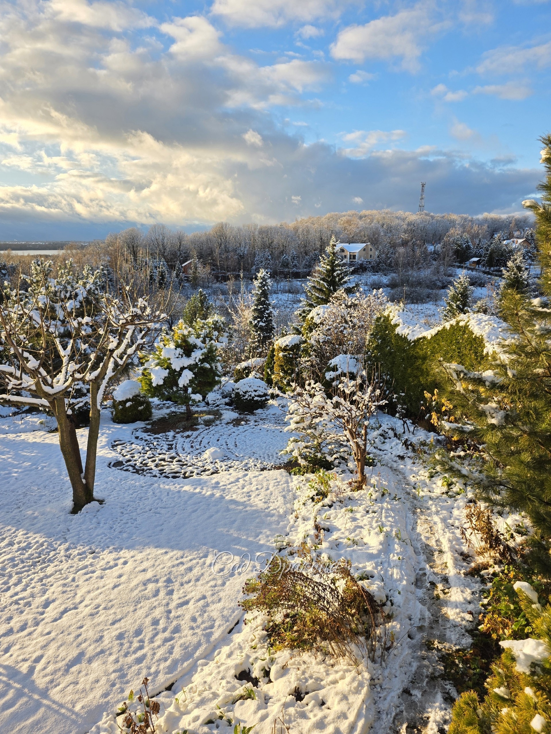 ❄️ Первый снег. ❄️