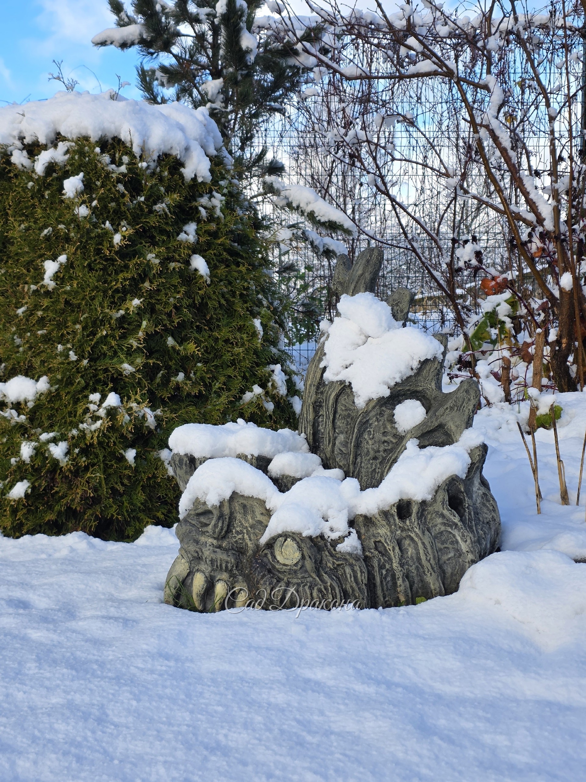 ❄️ Первый снег. ❄️