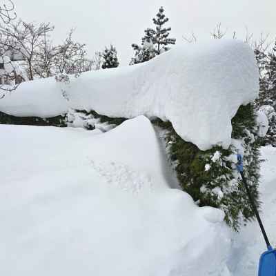 Изгородь у Инь Янь