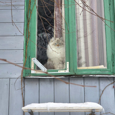 Мо Сян