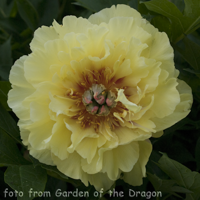 Garden Treasure