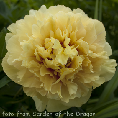 Garden Treasure